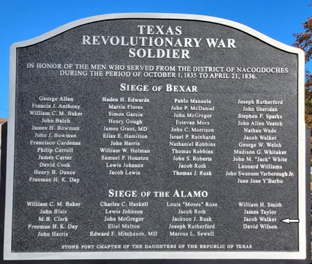 Texas Soldiers
