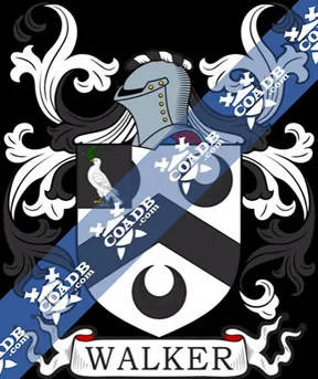 William Willem Walker IV